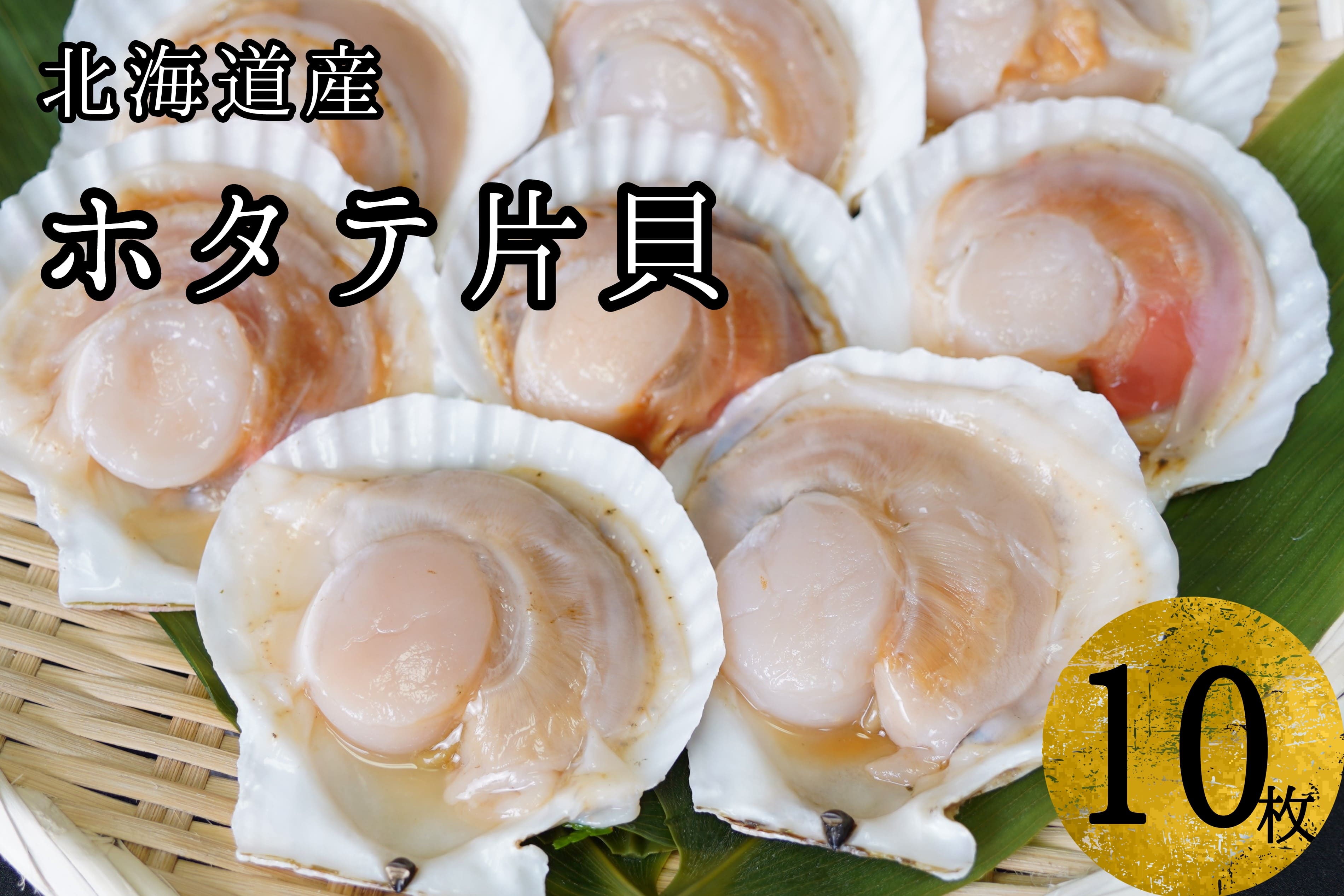【海鮮BBQにおすすめ】北海道産 ほたて片貝 10枚 ウロ処理済み 洗浄済み殻つき 下処理済 バター焼き ご飯 冷凍 旬 おつまみ 海鮮 せたな町 ふるさと納税