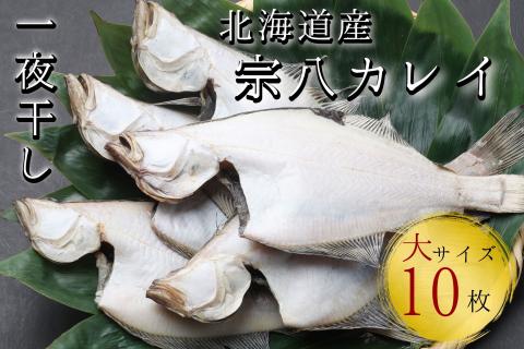 【リピーター続出！】北海道産 宗八かれい 大サイズ10枚(約2kg) カレイ 一夜干し 漁師直送 干物 煮付け 塩焼き 唐揚げ 海鮮 せたな町 ふるさと納税