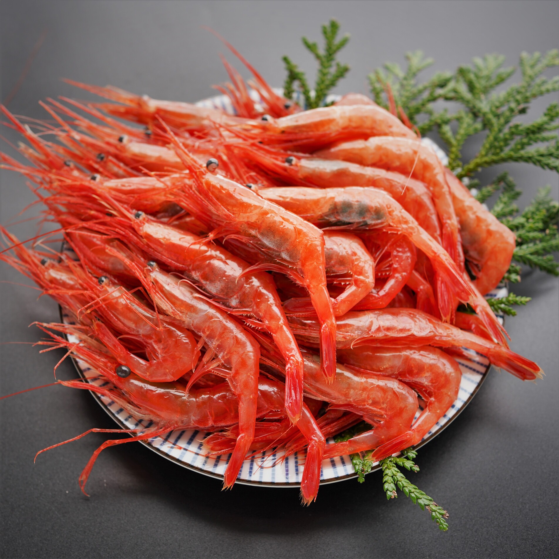 【漁師直送】北海道産 甘えび Mサイズ500g お刺身 唐揚げ 丼 味噌汁 寿司 冷凍 天ぷら 旬 海鮮 せたな町 ふるさと納税