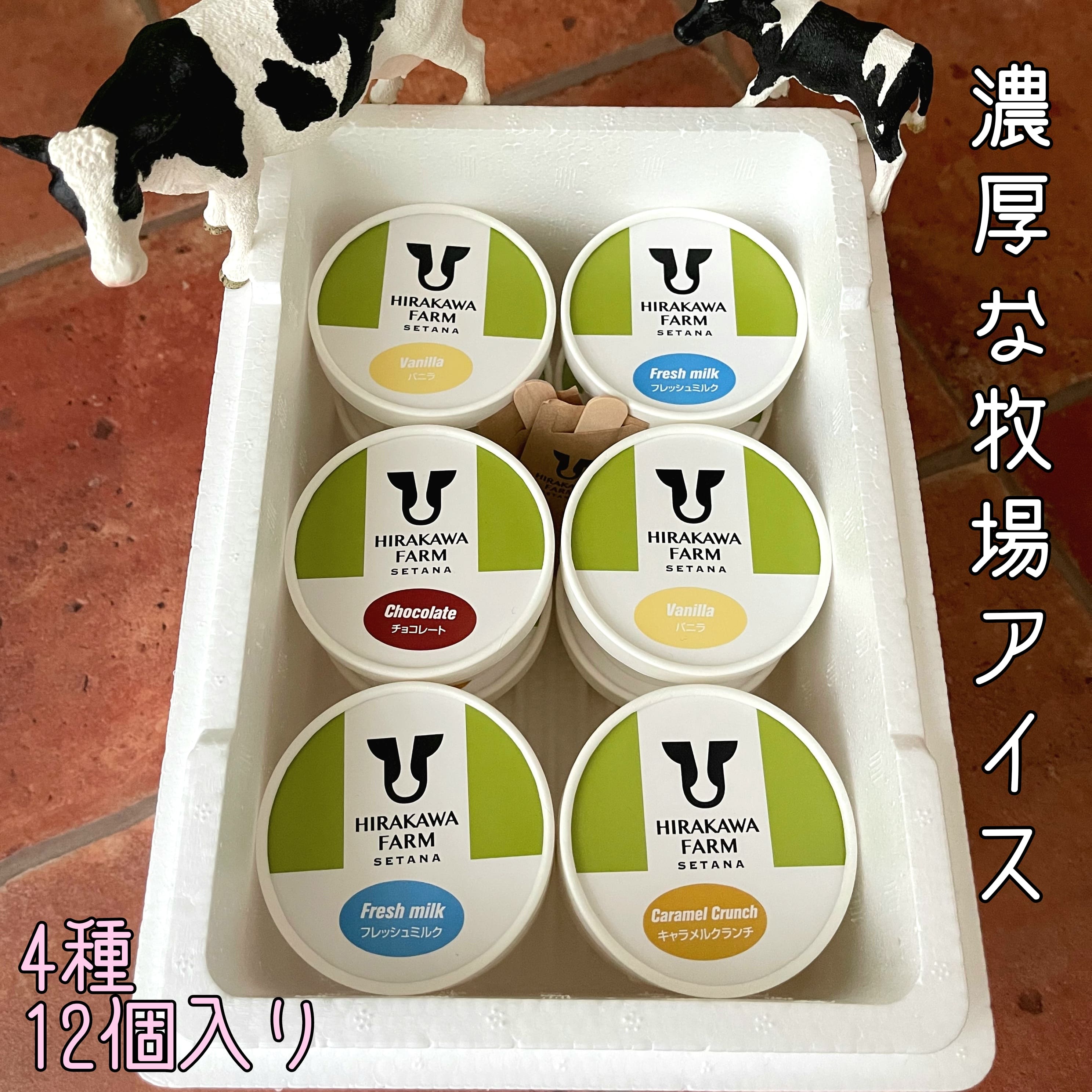 【北海道産搾りたて生乳使用】ひらかわ牧場のアイスクリーム 大人気の4種12個セット フレッシュミルク バニラ チョコ キャラメルクランチ デザート スイーツ お取り寄せ ギフト せたな町 ふるさと納税