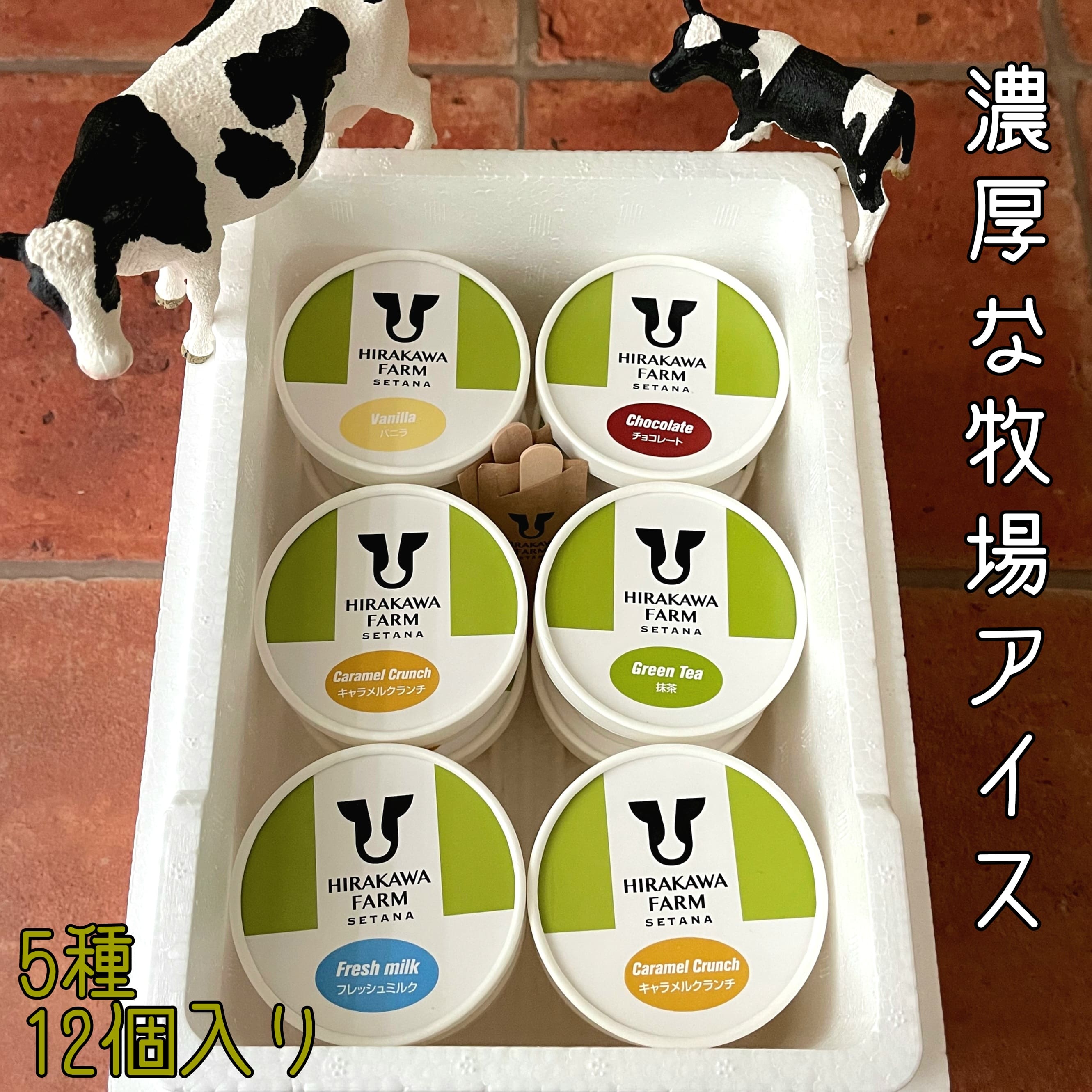 【北海道産搾りたて生乳使用】ひらかわ牧場のアイスクリーム 定番の5種12個セット フレッシュミルク バニラ チョコ キャラメルクランチ 抹茶 デザート スイーツ お取り寄せ ギフト せたな町 ふるさと納税
