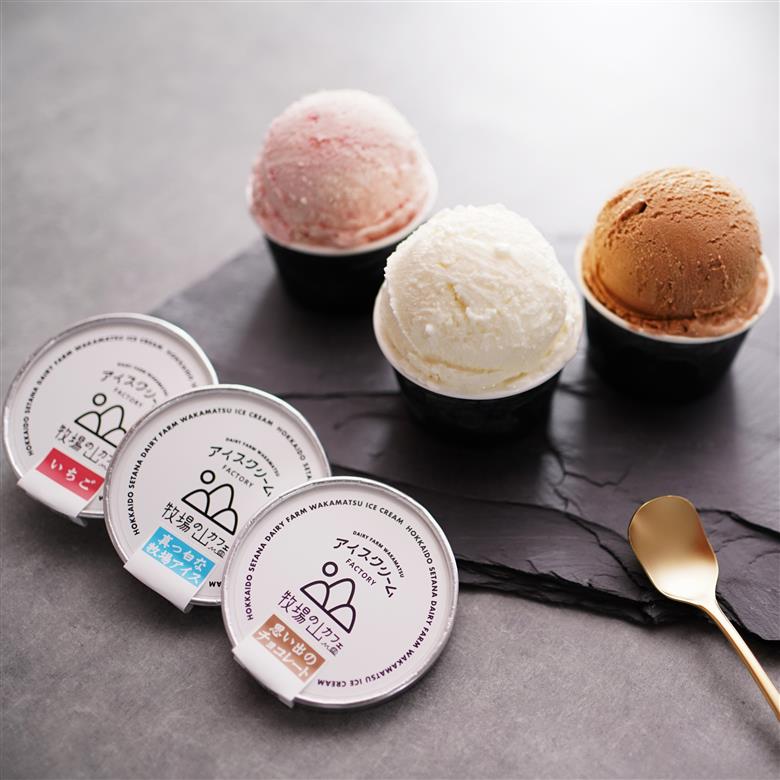 【北海道産搾りたて生乳使用】牧場の山カフェ アイスクリーム12個セット 真っ白な牧場アイス 思い出のチョコレート いちご デザート スイーツ せたな町 ふるさと納税