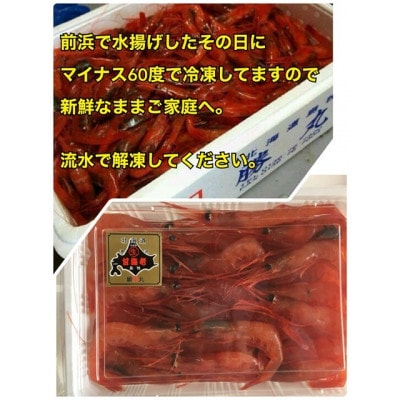濃厚甘えび　北海道日本海甘えび【200g×4】【配送不可地域：離島】