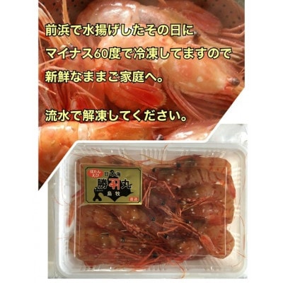 ぷりぷりボタンエビ　北海道日本海ボタンエビ【200g×4】【配送不可地域：離島】