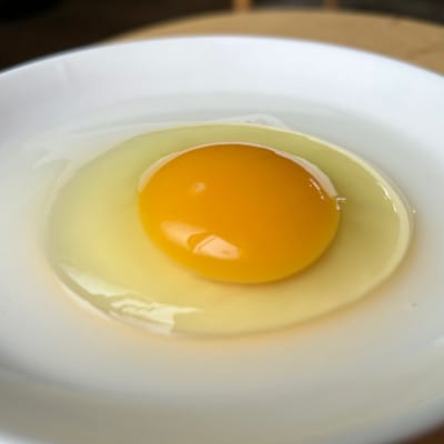 オーガニックファーム・ハッピープレイスの 「ハッピーたまご」40個入り【配送不可地域：離島】