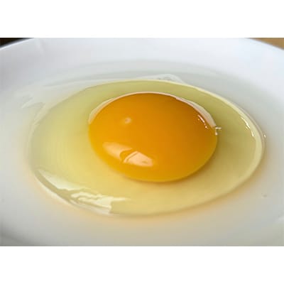 【毎月定期便】自然卵【ハッピーコッコちゃんたまご】20個入り(全3回)【配送不可地域：離島】