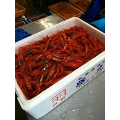 濃厚甘えび　北海道日本海甘えび【200g×4】【配送不可地域：離島】