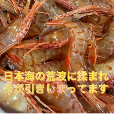 ぷりぷりボタンエビ　北海道日本海ボタンエビ【200g×4】【配送不可地域：離島】