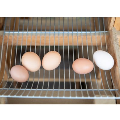 オーガニックファーム・ハッピープレイスの 「ハッピーたまご」40個入り【配送不可地域：離島】