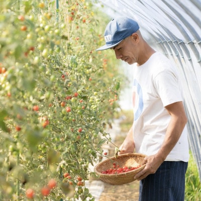 【北海道産有機トマト100%!】無添加で素材の味にこだわった高糖度フルーツトマトジュース　1L×6本