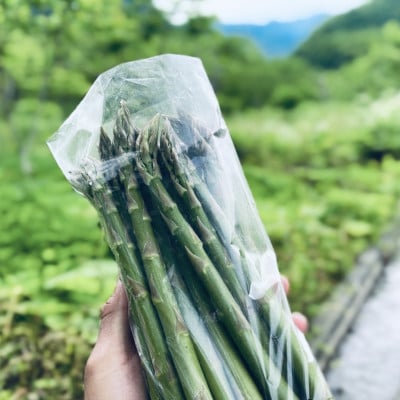 【先行予約】島牧村産露地栽培アスパラガス　1kg(M～Lサイズ混合)【2026年5月上旬～発送予定】【配送不可地域：離島】