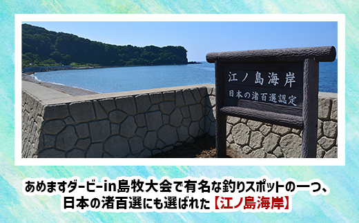 各部門共通　2025あめますダービーin島牧大会エントリー権と「あめます商品券」10000円分