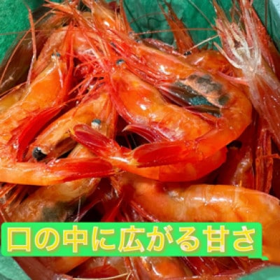 濃厚甘えび　北海道日本海甘えび【200g×4】【配送不可地域：離島】