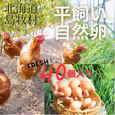 オーガニックファーム・ハッピープレイスの 「ハッピーたまご」40個入り【配送不可地域：離島】