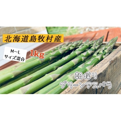 【先行予約】島牧村産露地栽培アスパラガス　1kg(M～Lサイズ混合)【2026年5月上旬～発送予定】【配送不可地域：離島】