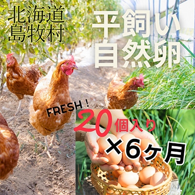 【毎月定期便】自然卵【ハッピーコッコちゃんたまご】20個入り(全6回)【配送不可地域：離島】