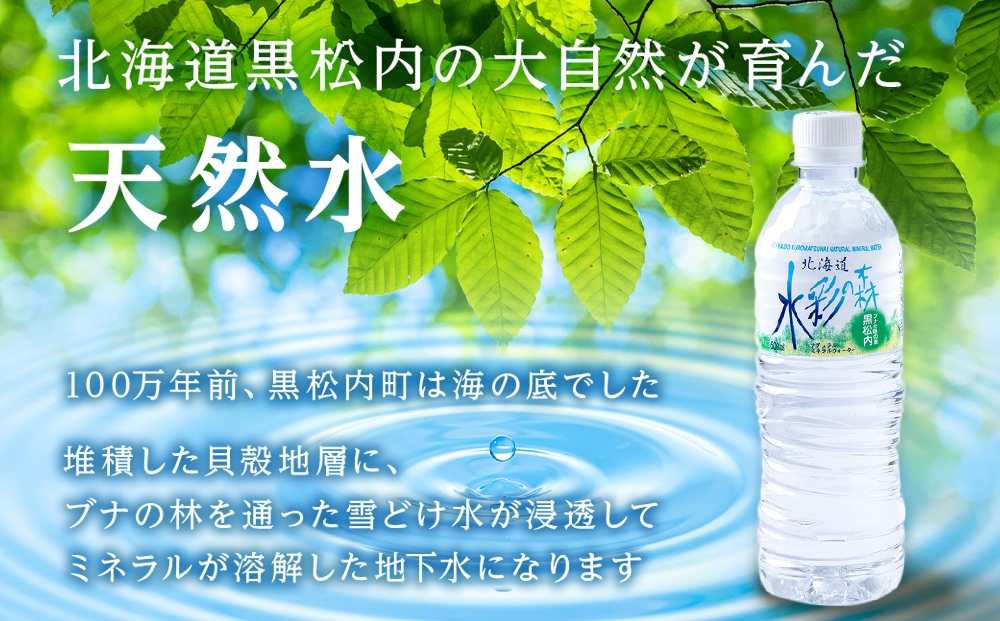 【定期便11カ月】黒松内銘水 水彩の森 500ml×48本（2箱）北海道 ミネラルウォーター 天然水 国産 国内 硬水 中硬水 ナチュラル ミネラル 天然水 アウトドア キャンプ 飲料水 防災 災害 備蓄