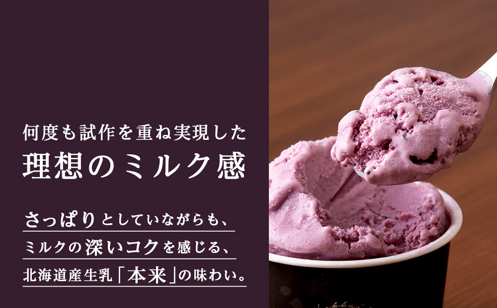 【定期便6ヶ月】リッチアイスクリーム 手摘みカシスとクリームチーズ　8個セット（100ml）