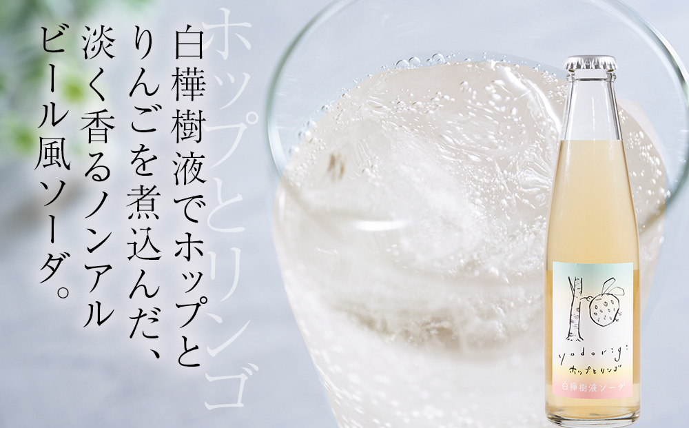 白樺樹液ソーダyadorigi (プレーン/ホップとりんご)計8個