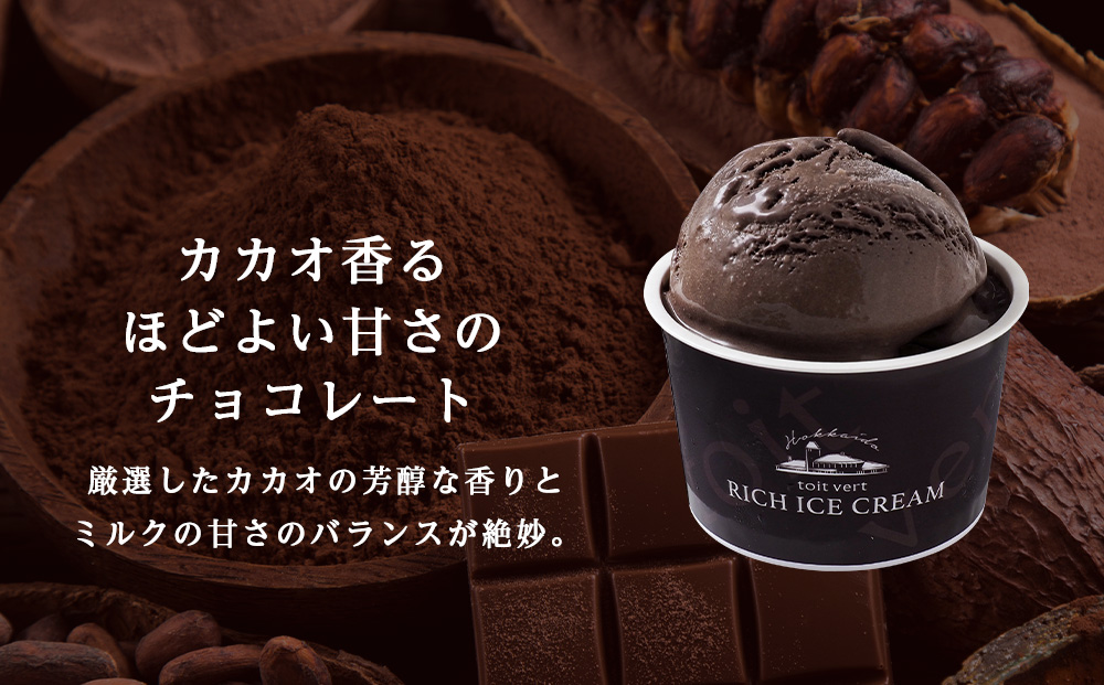 【定期便12ヶ月】リッチアイスクリーム カカオ香るほどよい甘さのチョコレート 10個セット（100ml）