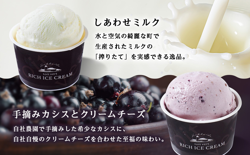 【定期便3ヶ月】リッチアイスクリーム 8個セット（100ml）【 4種 × 各2個】アイス スイーツ おやつ 冷凍 食べ比べ