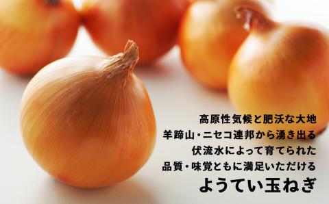 じゃがいも＆玉ねぎ 食べ比べセット 各10kg 合計20kｇ＜JAようてい＞2023年秋発送 受付予約