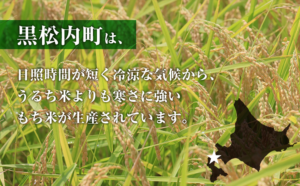 【定期便12ヵ月】 きたゆきもち 5kg 北海道産 もち米 米 北海道米