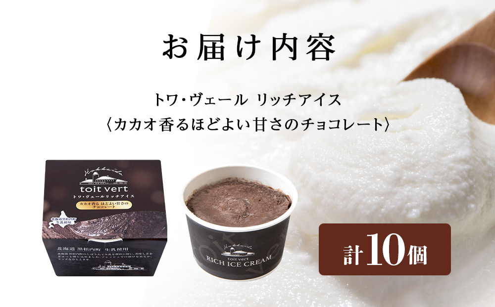 リッチアイスクリーム カカオ香るほどよい甘さのチョコレート 10個セット（100ml）アイス スイーツ おやつ 冷凍 食べ比べ