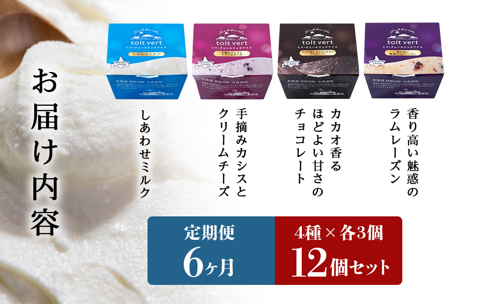 【定期便6ヶ月】リッチアイスクリーム 12個セット（100ml）【4種×各3個】アイス スイーツ おやつ 冷凍 食べ比べ