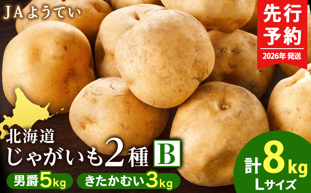 【2026年発送 先行予約】じゃがいも2種 馬鈴薯（男爵5kg＆きたかむい3kg）Ｌサイズ 合計8kｇ＜JAようてい＞じゃがいも 芋 秋じゃが 野菜 ポテト 北海道 国産