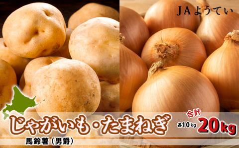じゃがいも＆玉ねぎ 食べ比べセット 各10kg 合計20kｇ＜JAようてい＞2023年秋発送 受付予約
