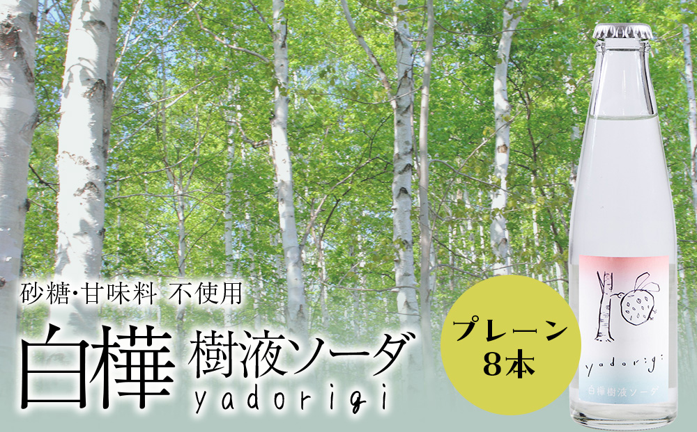 白樺樹液ソーダyadorigi（プレーン）8個