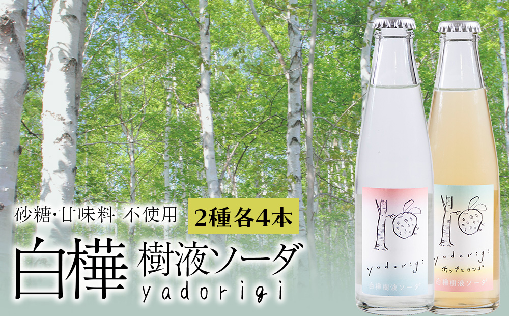 白樺樹液ソーダyadorigi (プレーン/ホップとりんご)計8個