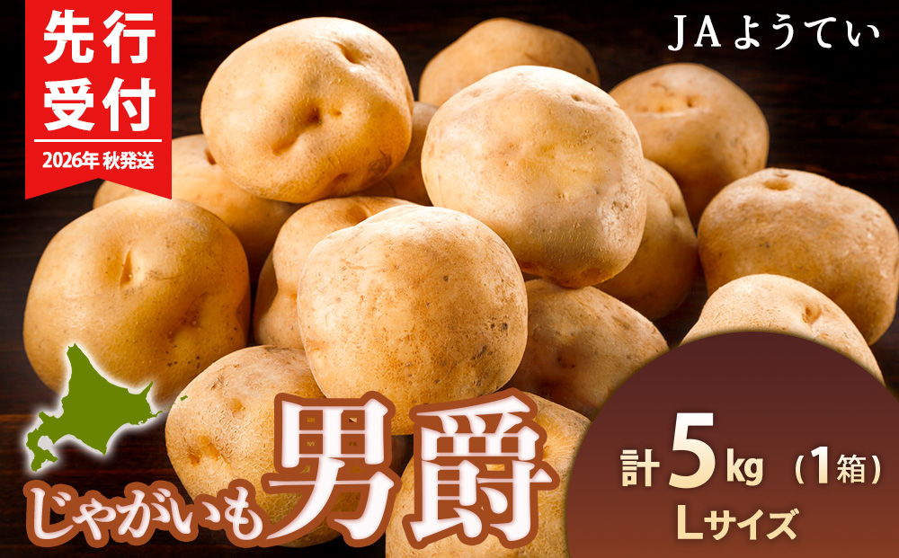 【2026年秋発送 先行予約】じゃがいも 馬鈴薯（男爵）Ｌサイズ 5kｇ＜JAようてい＞