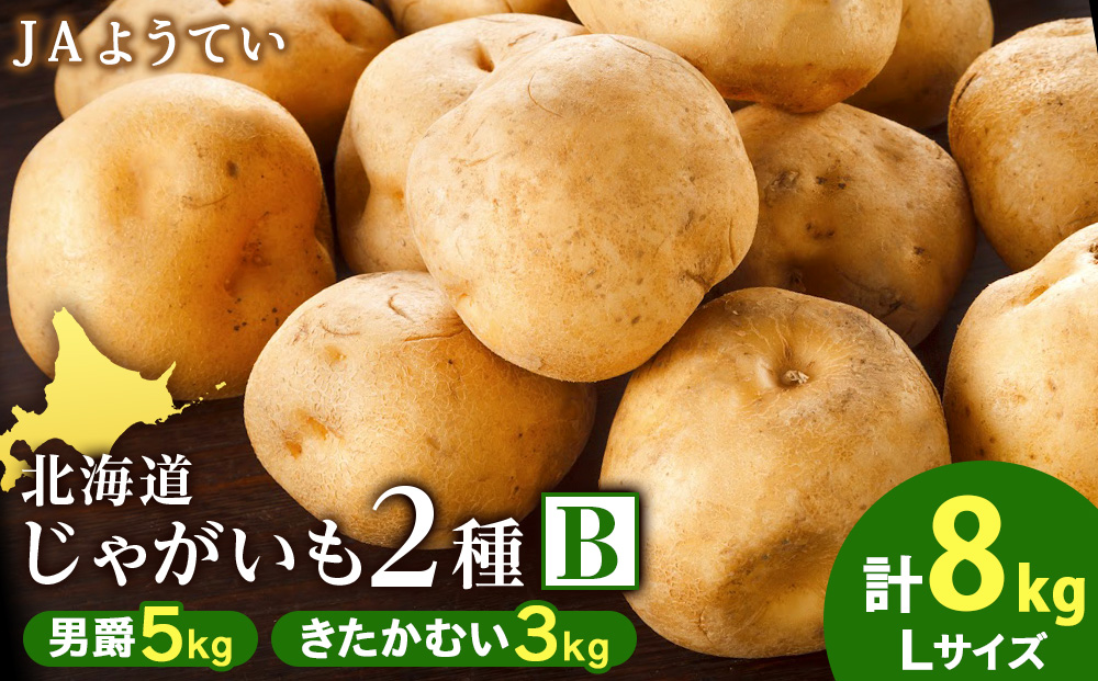 [2025年発送 先行予約]じゃがいも2種 馬鈴薯(男爵5kg&きたかむい3kg)Lサイズ 合計8kg[JAようてい]じゃがいも 芋 秋じゃが 野菜 ポテト 北海道 国産