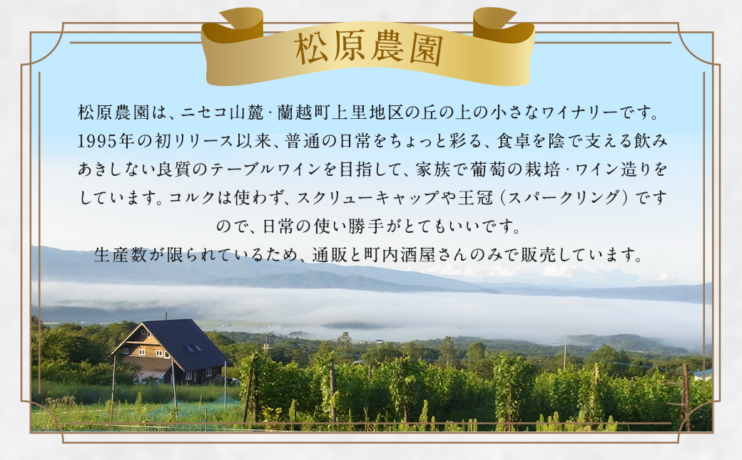 「ナイヤガラ・スパークリング」フルボトル2本セット