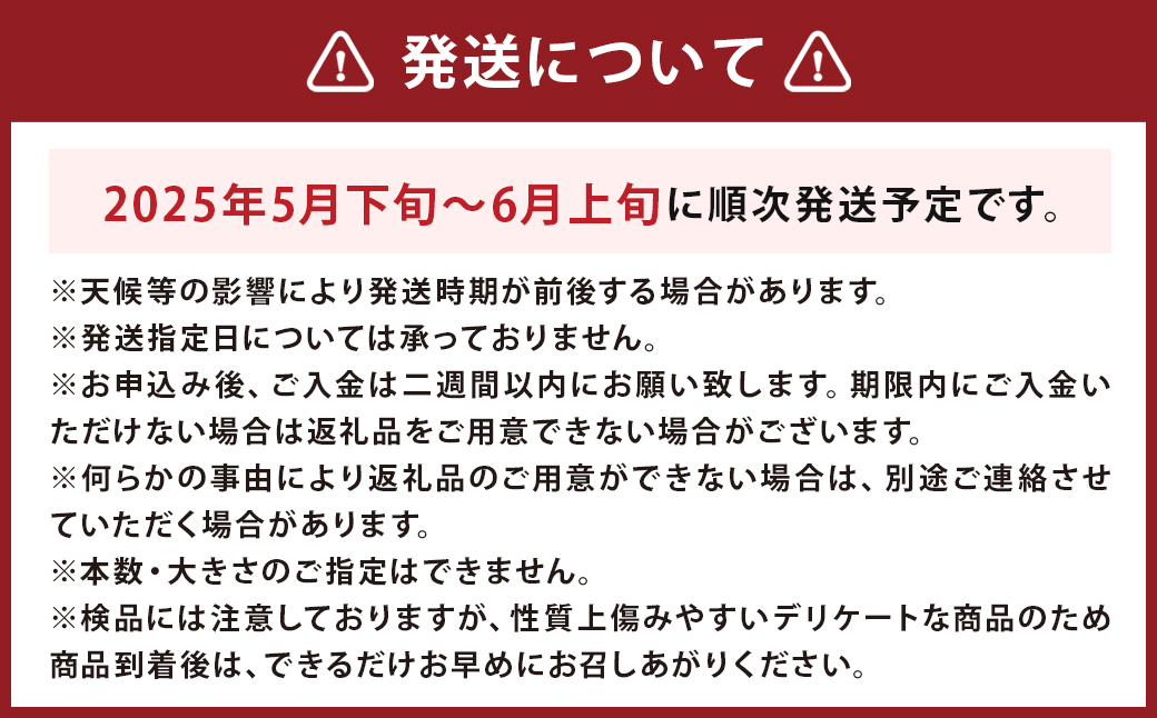 グリーンアスパラ 露地栽培 2L（約1kg相当）【2025年5月下旬～6月上旬発送予定】野菜 アスパラ アスパラガス やさい