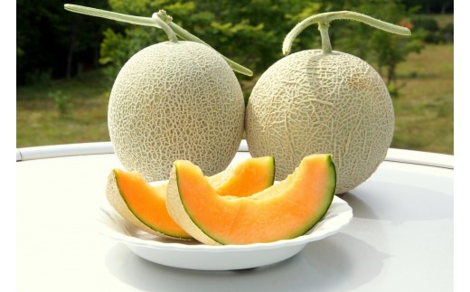 らんこし産 メロン （赤肉） 2玉 めろん 果物 フルーツ 国産 北海道 蘭越産 【2024年7月上旬～2024年9月下旬発送予定】