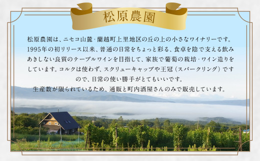 白ワイン ミュラー・トゥルガウ 2本セット 720ml×2本 合計1.44L