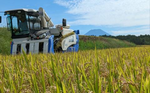 【令和5年産】蘭越米 ゆめぴりか 5kg