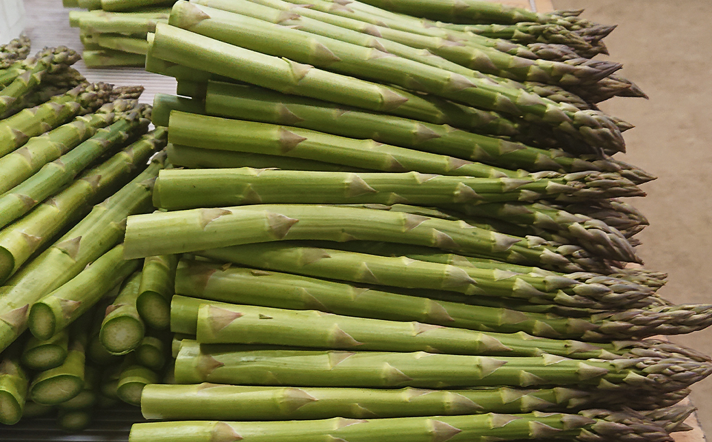 グリーンアスパラ 露地栽培 2L（約1kg相当）【2025年5月下旬～6月上旬発送予定】野菜 アスパラ アスパラガス やさい