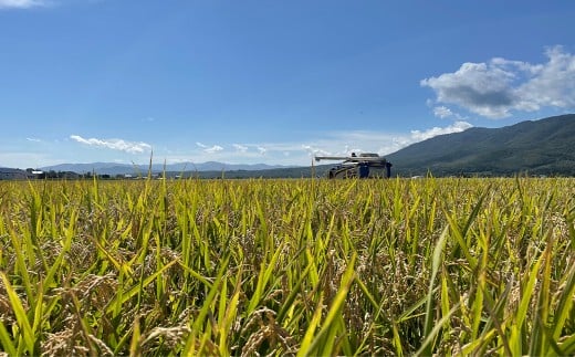 【令和7年産】北海道蘭越産ななつぼし5kg