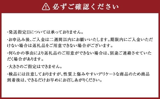 蘭越産 赤肉メロン 2玉 計 約 3kg 以上