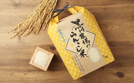 らんこし米 (ゆめぴりか) 5kg (黒川農場)