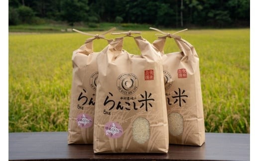 【令和7年産】有機JAS転換期間中有機農産物 らんこし産 ゆめぴりか 5kg