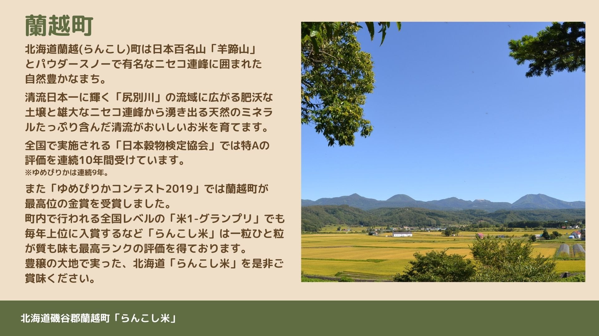 ＜令和5年産＞らんこし米 ゆめぴりか 2kg（坂野農場）