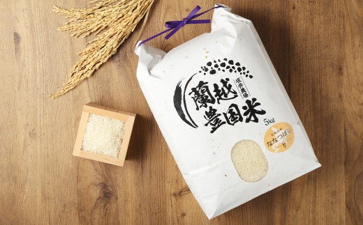 ＜令和7年産＞ らんこし米 （ななつぼし） 5kg （坂井農場） 【2025年11月上旬発送開始】