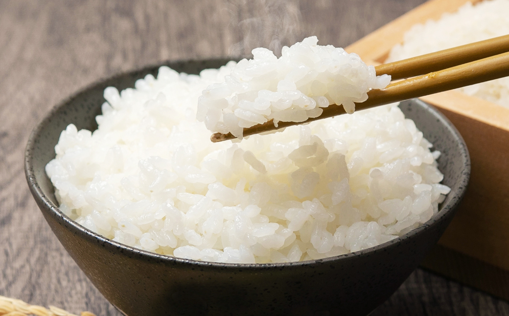 【5ヶ月定期便】令和5年産 らんこし米 ゆめぴりか 10kg(5kg×2袋)