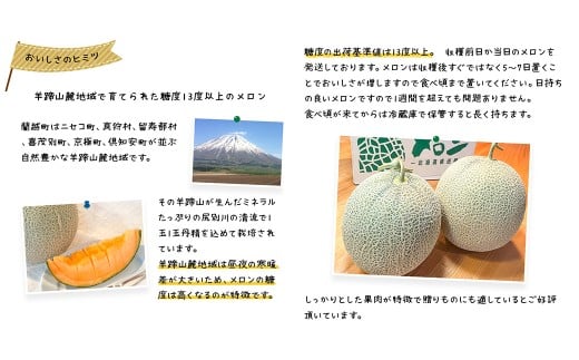 蘭越産 赤肉メロン 2玉 計 約 3kg 以上