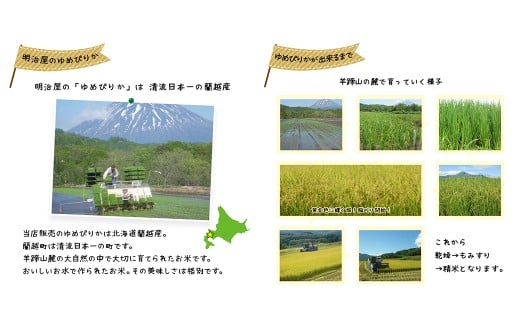 【令和7年産】 蘭越産 ゆめぴりか玄米 10kg